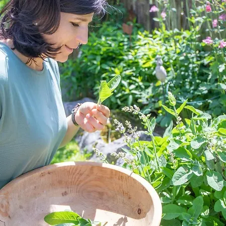 Alloggio per agriturismo Oberhaslachhof