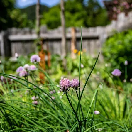 Oberhaslachhof Alloggio per agriturismo Reith im Alpbachtal
