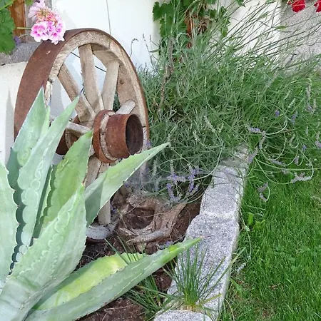 Alloggio per agriturismo Oberhaslachhof Reith im Alpbachtal