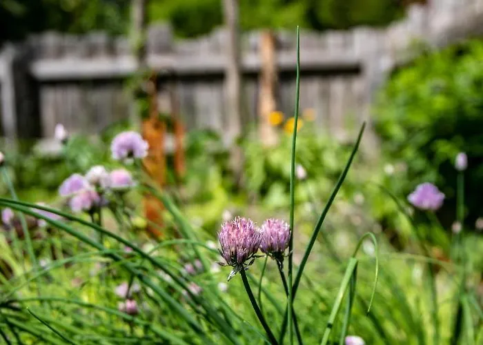 Oberhaslachhof Vakantieboerderij Reith im Alpbachtal