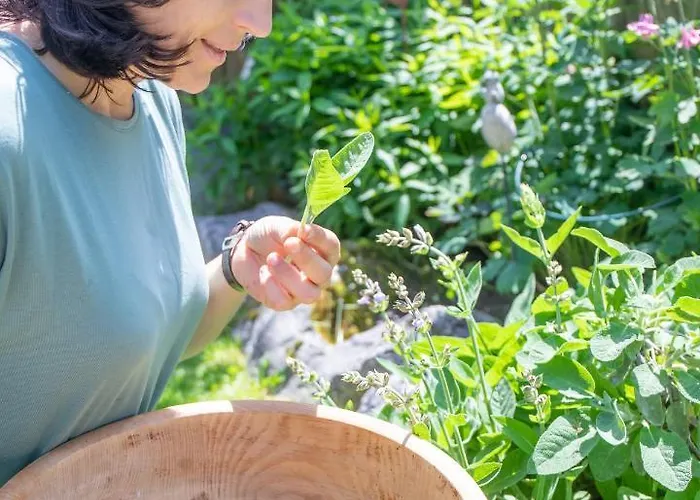 Séjour à la ferme Oberhaslachhof