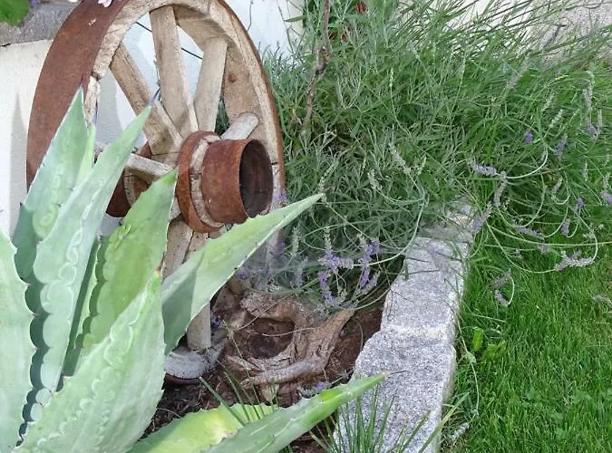 Séjour à la ferme Oberhaslachhof Reith im Alpbachtal